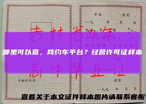 哪里可以查，网约车平台？经营许可证样本