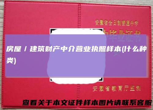 房屋／建筑财产中介营业执照样本(什么种类)