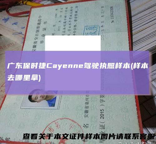 广东保时捷Cayenne驾驶执照样本(样本去哪里拿)