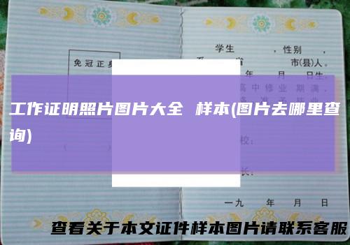工作证明照片图片大全 样本(图片去哪里查询)
