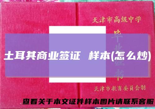 土耳其商业签证样本(怎么炒)