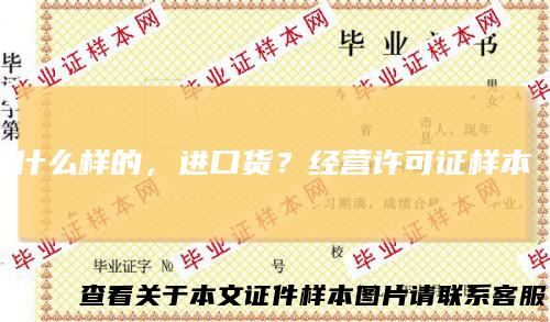 什么样的，进口货？经营许可证样本