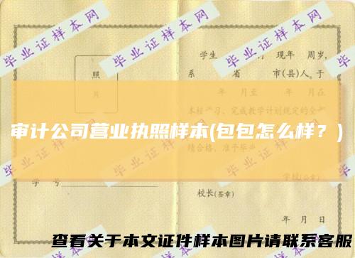 审计公司营业执照样本(包包怎么样？)