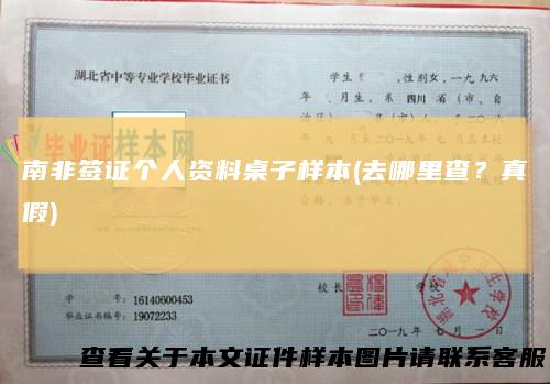 南非签证个人资料桌子样本(去哪里查?真假)