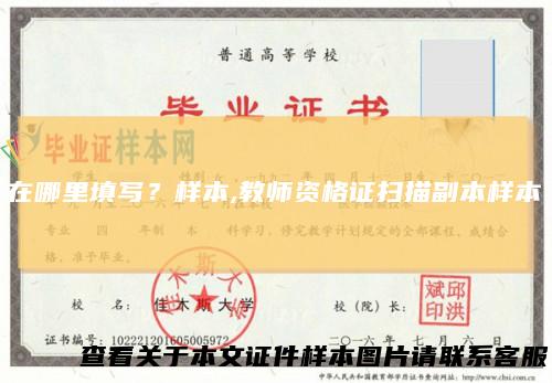 在哪里填写?样本,教师资格证扫描副本样本