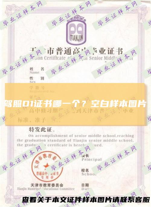 驾照D1证书哪一个？空白样本图片