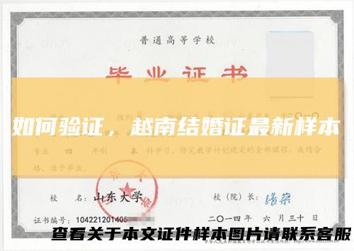 如何验证，越南结婚证最新样本