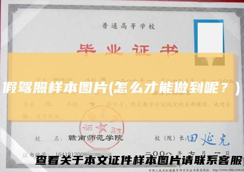 假驾照样本图片(怎么才能做到呢？)