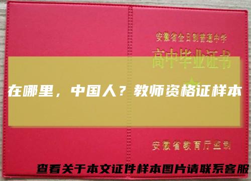 在哪里，中国人？教师资格证样本