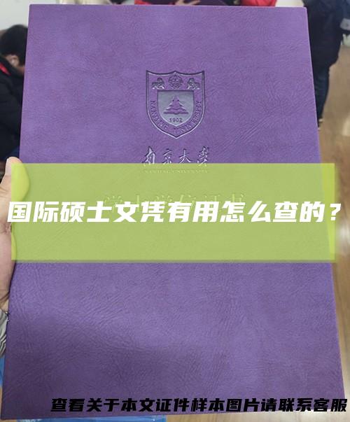 国际硕士文凭有用怎么查的？