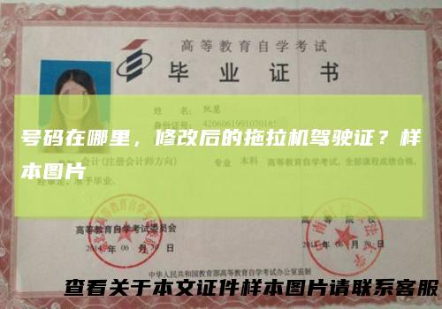 号码在哪里，修改后的拖拉机驾驶证？样本图片