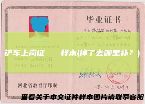 铲车上岗证样本(掉了去哪里补?)