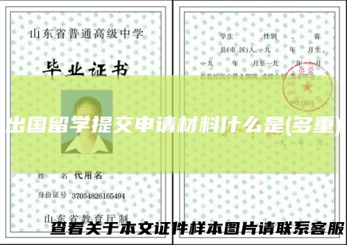 出国留学提交申请材料什么是(多重)