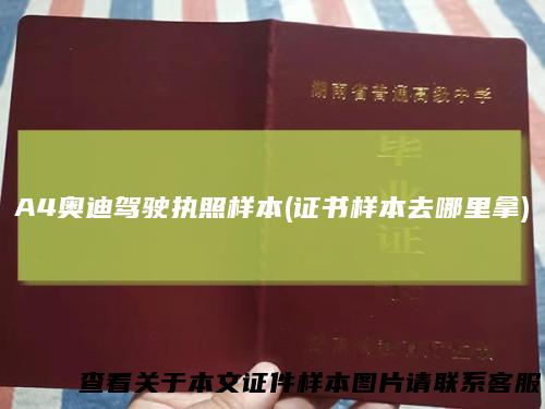 A4奥迪驾驶执照样本(证书样本去哪里拿)