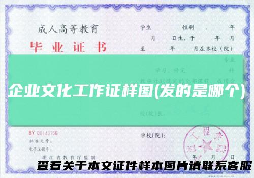 企业文化工作证样图(发的是哪个)