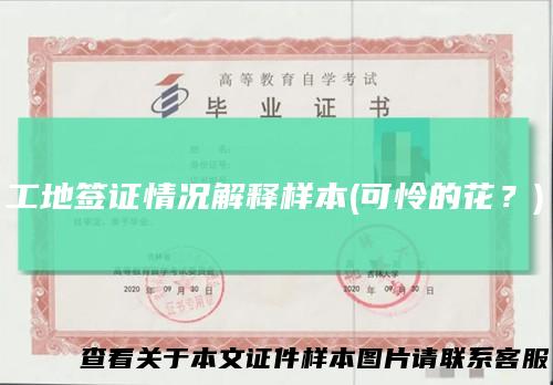 工地签证情况解释样本(可怜的花？)