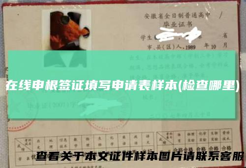 在线申根签证填写申请表样本(检查哪里)