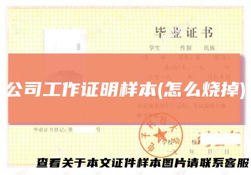 公司工作证明样本(怎么烧掉)