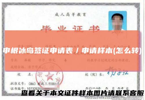 申根冰岛签证申请表／申请样本(怎么转)