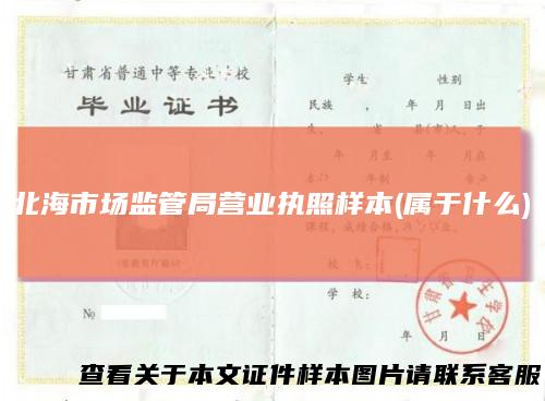 北海市场监管局营业执照样本(属于什么)