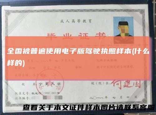 全国被普遍使用电子版驾驶执照样本(什么样的)