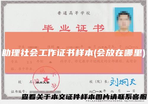 助理社会工作证书样本(会放在哪里)