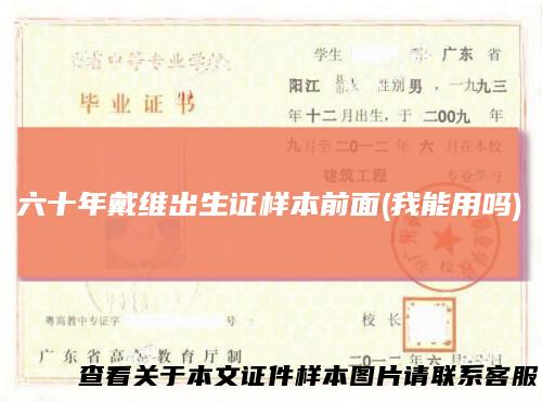 六十年戴维出生证样本前面(我能用吗)