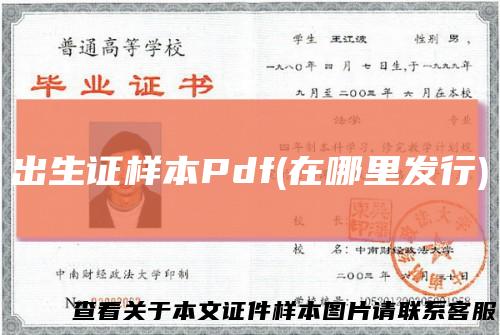 出生证样本Pdf(在哪里发行)