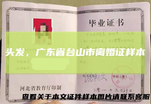 头发，广东省台山市离婚证样本