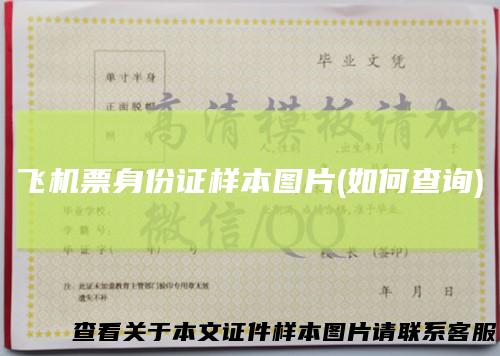 飞机票身份证样本图片(如何查询)