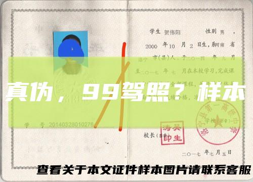 真伪，99驾照？样本