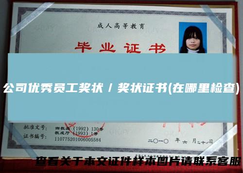 公司优秀员工奖状/奖状证书(在哪里检查)