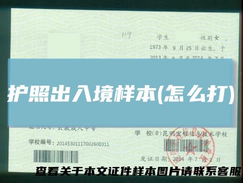 护照出入境样本(怎么打)