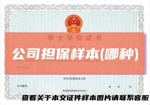 公司担保样本(哪种)