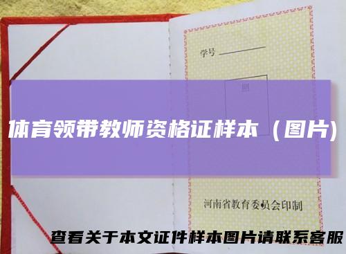 体育领带教师资格证样本（图片)
