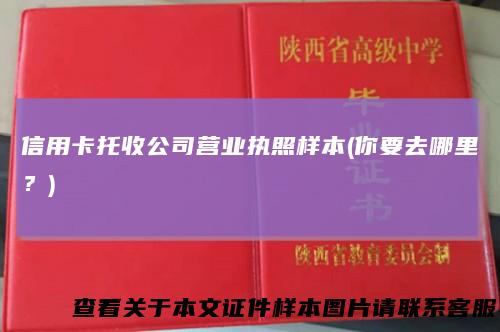 信用卡托收公司营业执照样本(你要去哪里？)