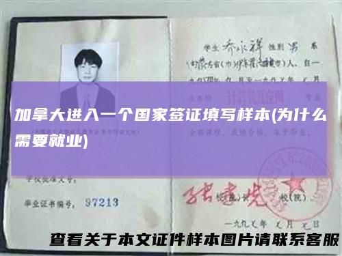 加拿大进入一个国家签证填写样本(为什么需要就业)
