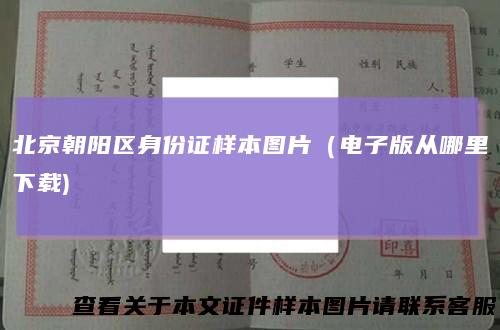 北京朝阳区身份证样本图片（电子版从哪里下载)