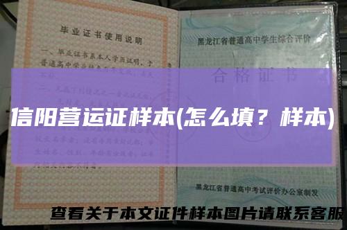 信阳营运证样本(怎么填？样本)