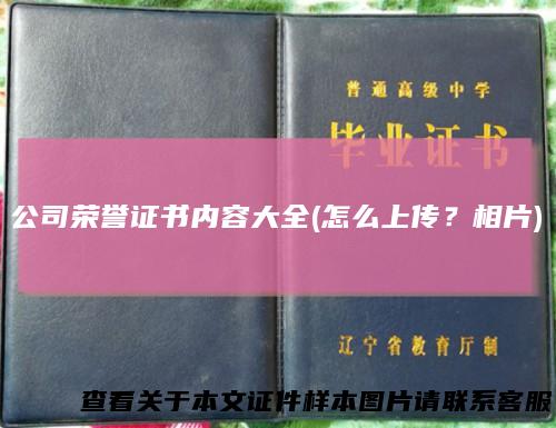公司荣誉证书内容大全(怎么上传?相片)