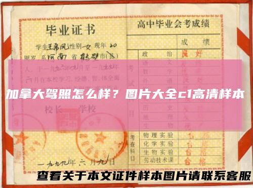 加拿大驾照怎么样？图片大全c1高清样本