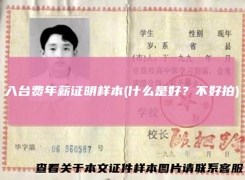 入台费年薪证明样本(什么是好?不好拍)