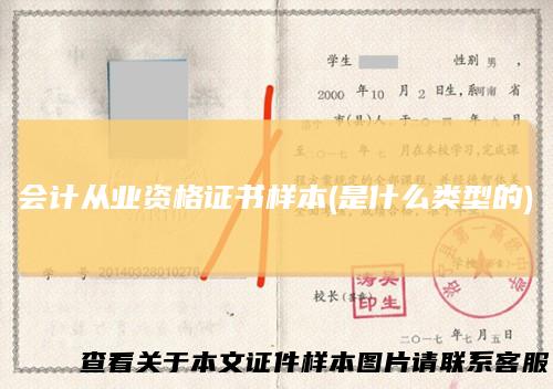 会计从业资格证书样本(是什么类型的)