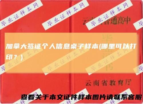 加拿大签证个人信息桌子样本(哪里可以打印?)