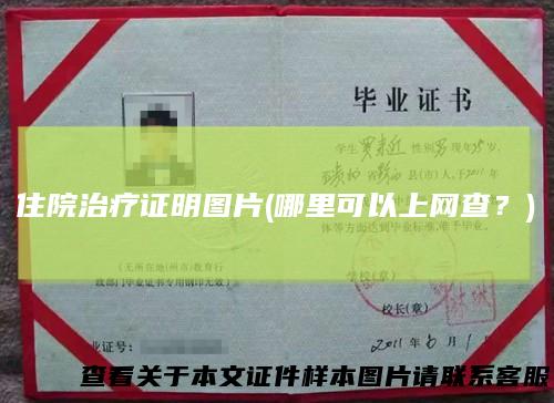 住院治疗证明图片(哪里可以上网查？)