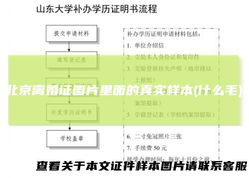 北京离婚证图片里面的真实样本(什么毛)