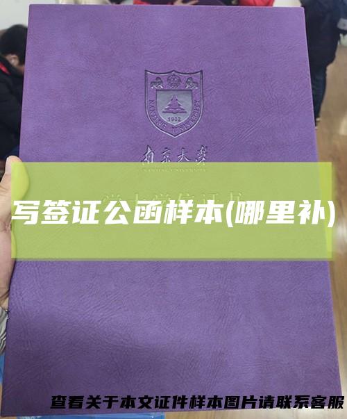 写签证公函样本(哪里补)