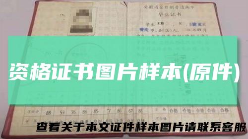 资格证书图片样本(原件)