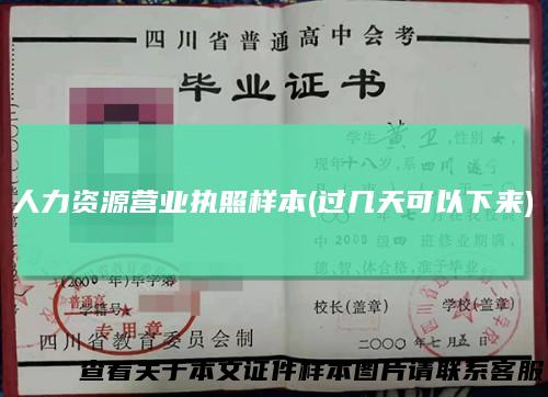 人力资源营业执照样本(过几天可以下来)
