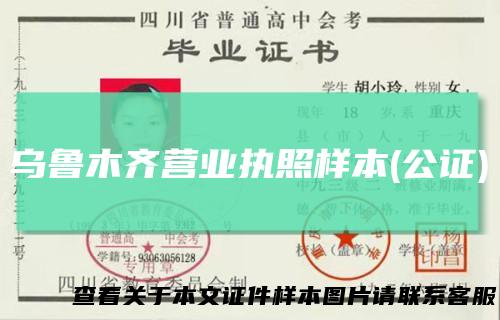 乌鲁木齐营业执照样本(公证)